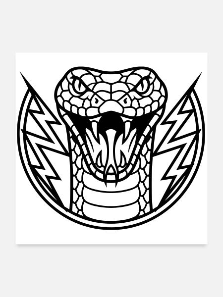 Anaconda - Poster 24" x 24" (60x60 cm) - white - Front