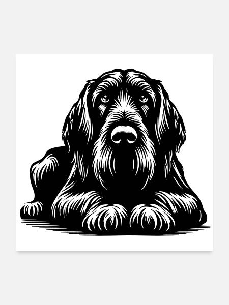 Spinone Italiano - Poster 24" x 24" (60x60 cm) - white - Front