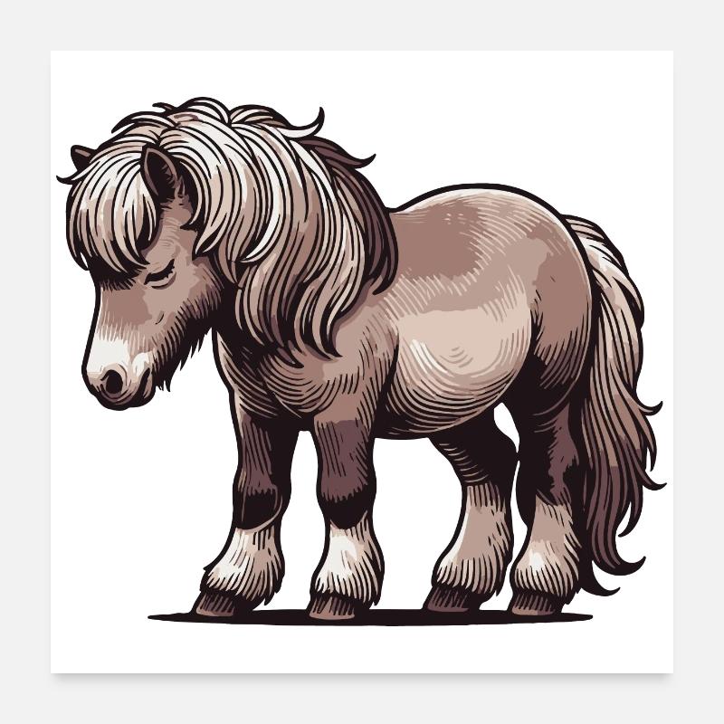Pony - Poster 60x60 cm - Weiß