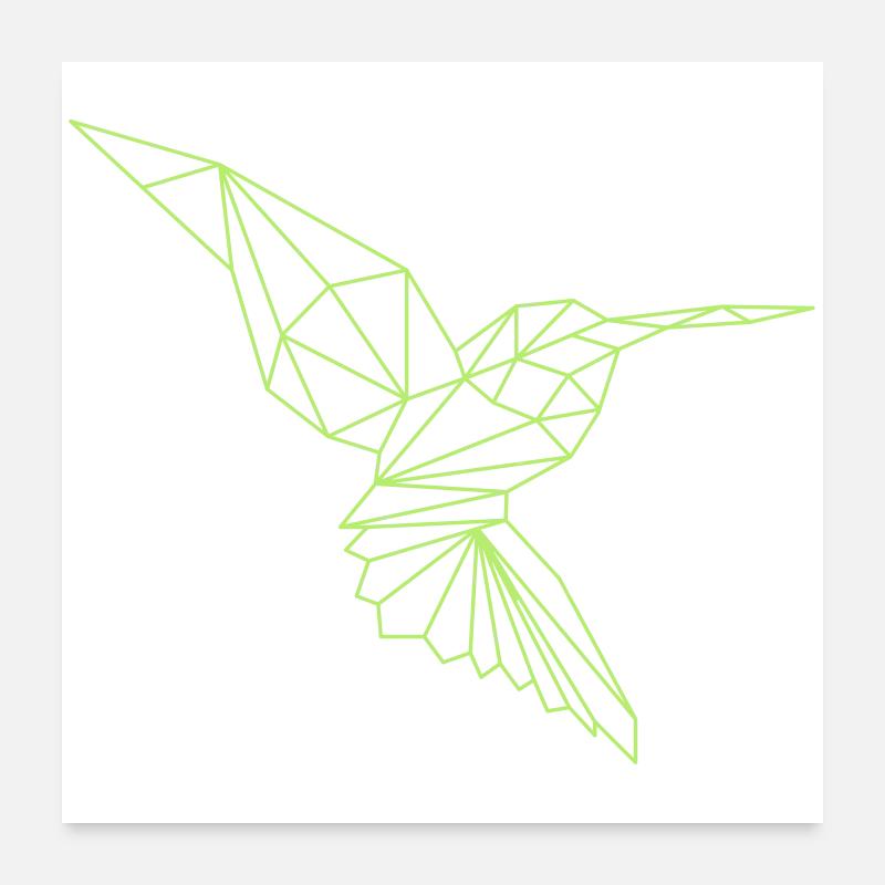 Eisvogel - Poster 60x60 cm - Weiß