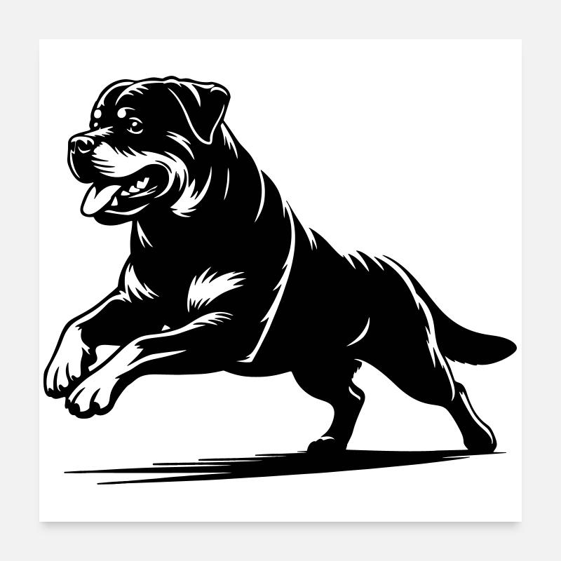 Rottweiler Poster 60 x 60 cm