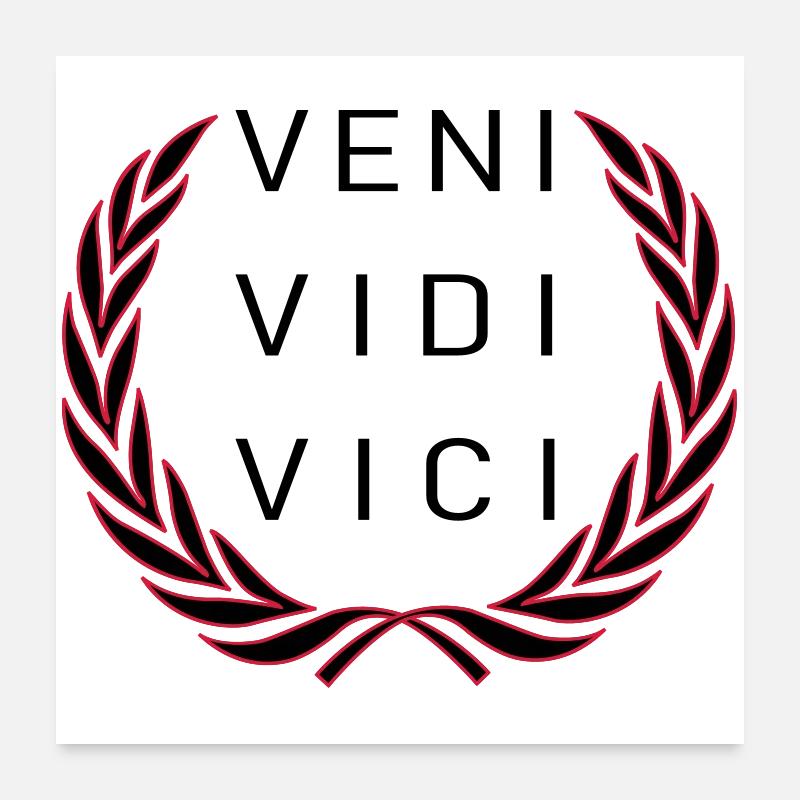 Veni Vidi Vici Poster 24" x 24" (60x60 cm)