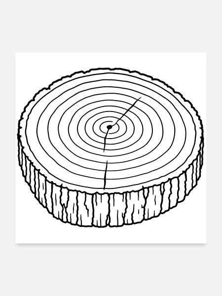 Baumscheibe Jahresringe – Holz Natur - Poster 60x60 cm - Weiß