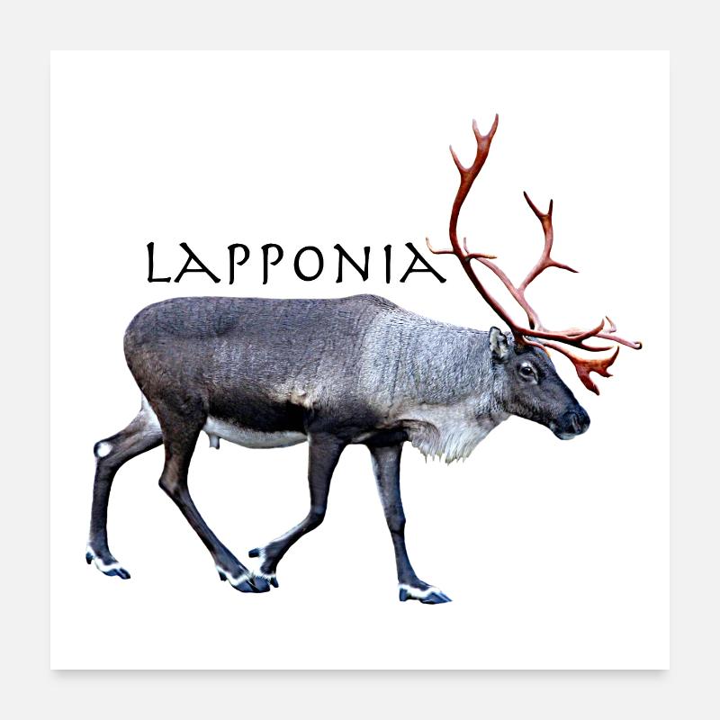 Lapponia - Poster 24" x 24" (60x60 cm) - white