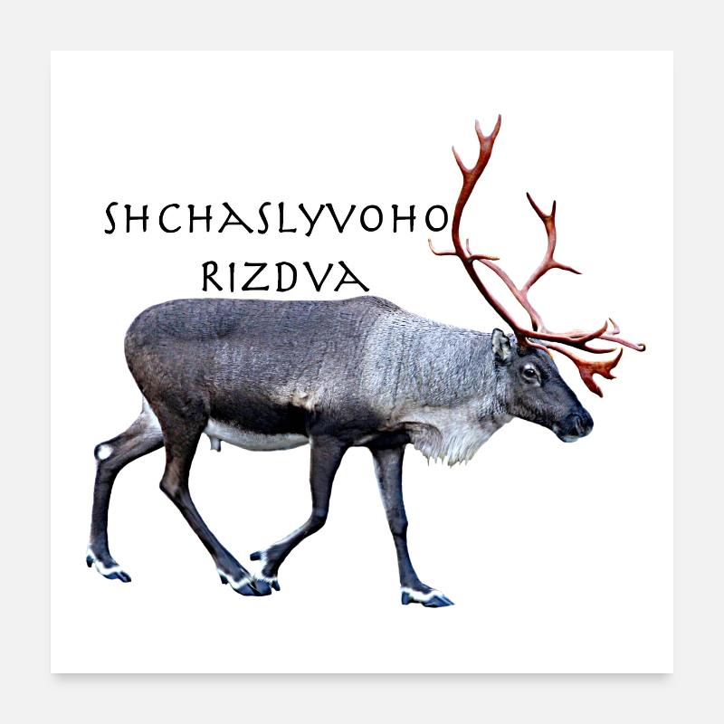 Shchaslyvoho Rizdva Poster 60 x 60 cm