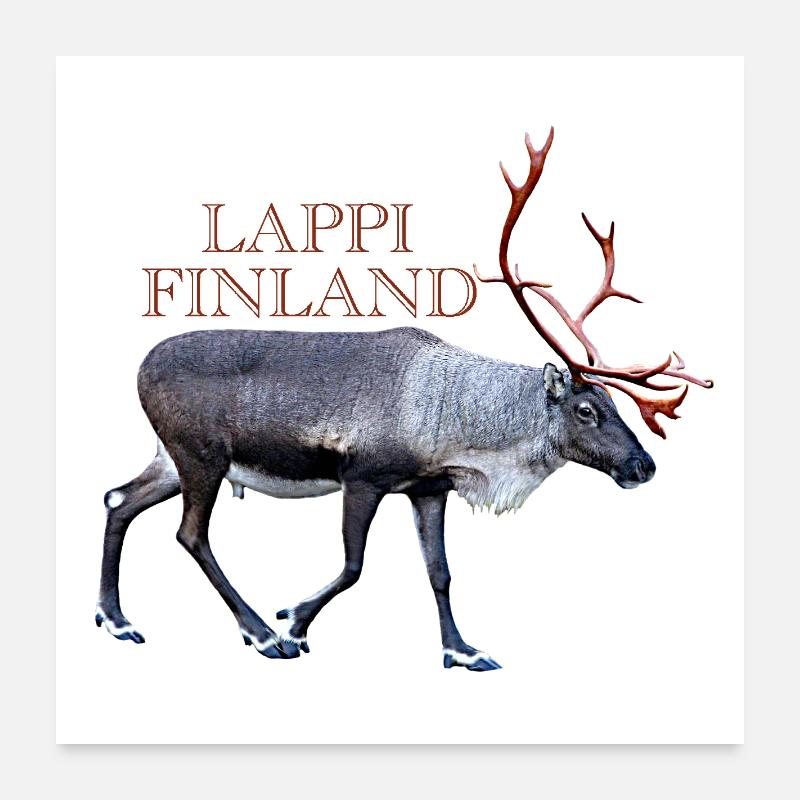 Lappi - Poster 24" x 24" (60x60 cm) - white