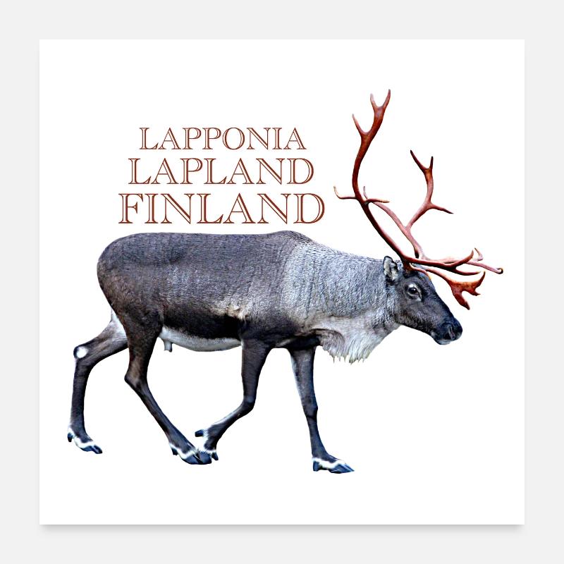 Lapponia Poster 60x60 cm