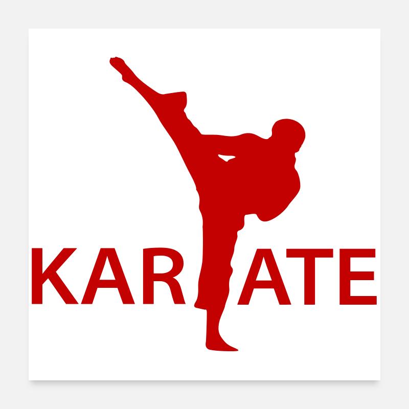 Karate Kick Silhouette - Poster 60x60 cm - Weiß