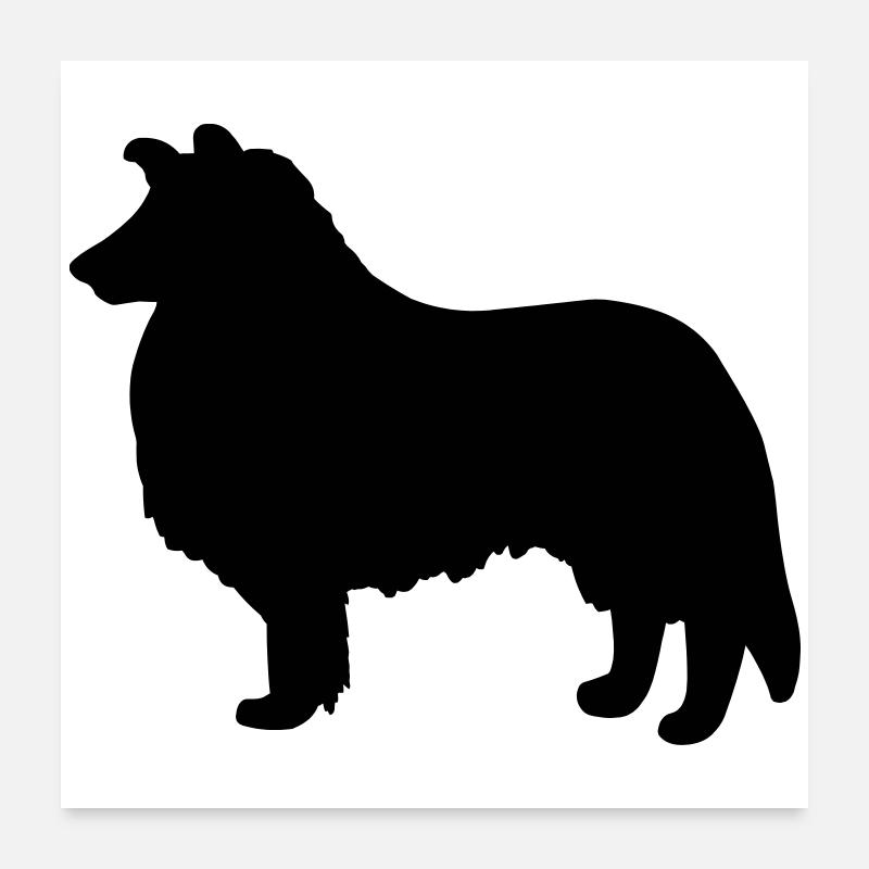 Collie Dog Poster 24" x 24" (60x60 cm)