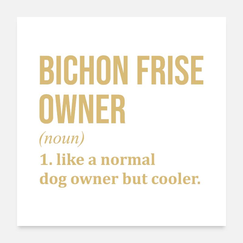 Bichon frisé Poster 60 x 60 cm