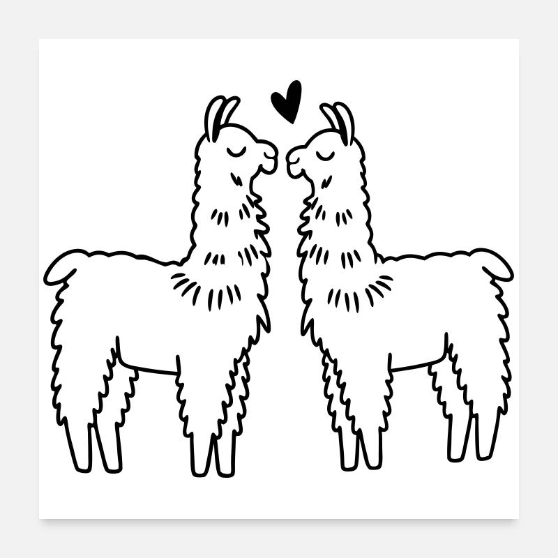 Lamas amoureux Poster 60 x 60 cm