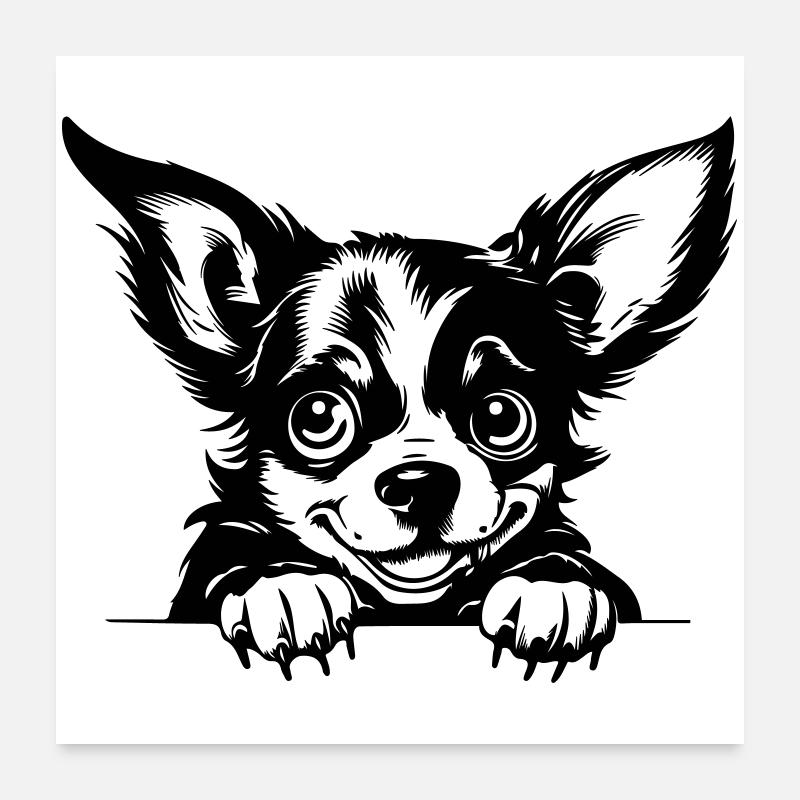 Chihuahua coquin Poster 60 x 60 cm
