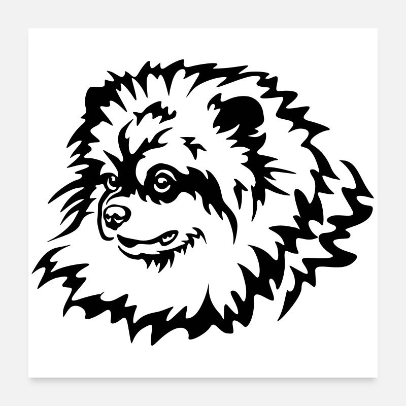 Tête de Spitz miniature Poster 60 x 60 cm
