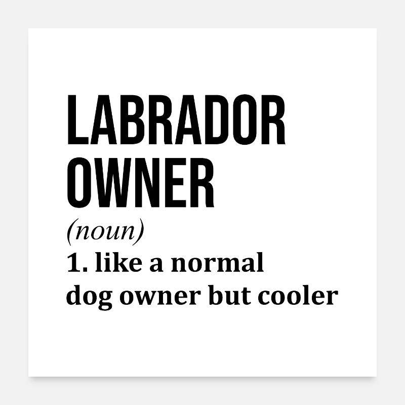 Labrador Poster 60 x 60 cm