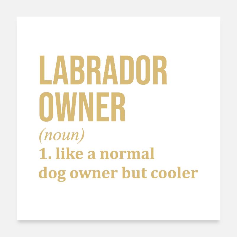 Labrador Poster 60 x 60 cm
