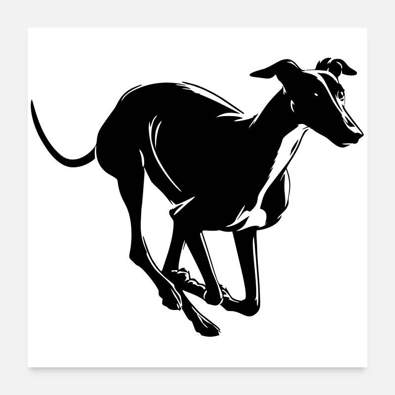 Greyhound Poster 24" x 24" (60x60 cm)