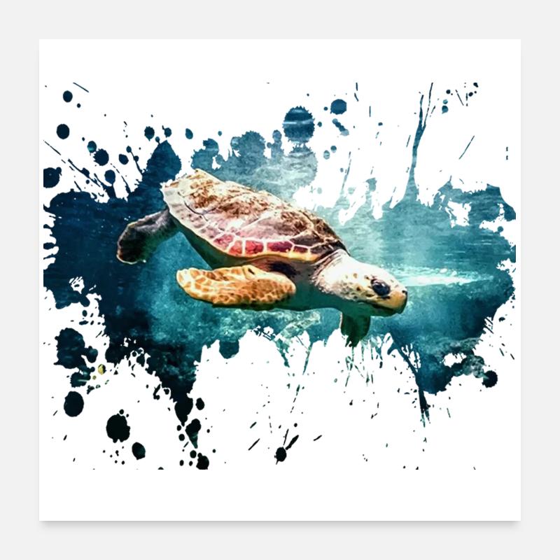 Schildkröte Splash Poster 60x60 cm