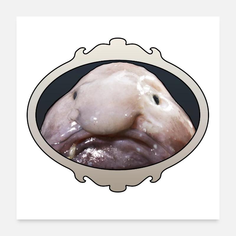 Ugly blob fish, ugly, Mr Blob Poster 24" x 24" (60x60 cm)