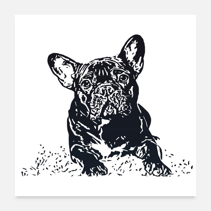 Bouledogue Français Poster 60 x 60 cm
