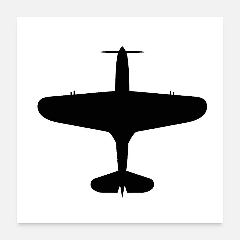 Top-Down Airplane Silhouette Poster 24" x 24" (60x60 cm)