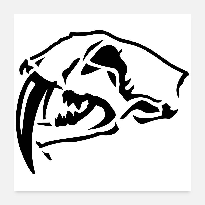 Sabre-toothed Tiger Skull Poster 24" x 24" (60x60 cm)