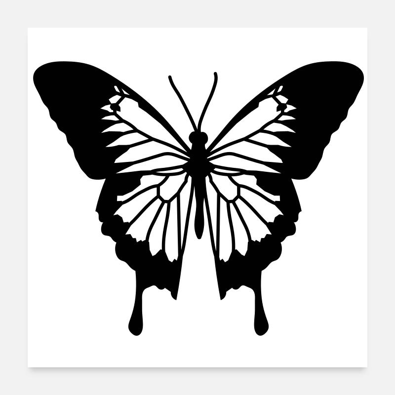 schmetterling Poster 60 x 60 cm