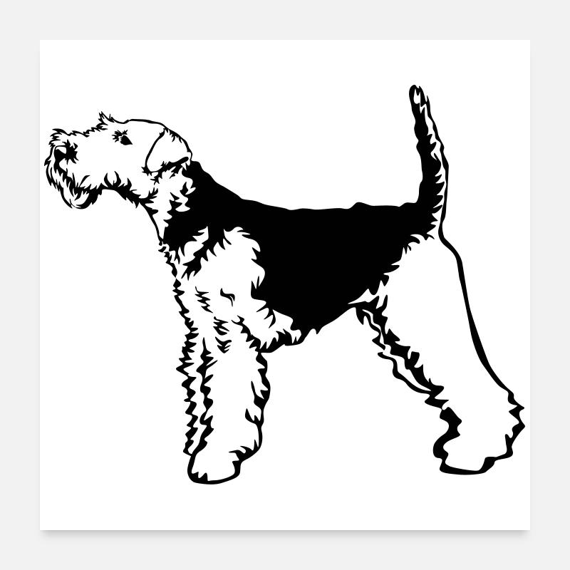 Welsh Terrier Poster 24" x 24" (60x60 cm)