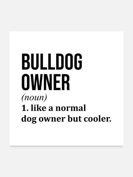 bouledogue - Poster 60 x 60 cm - blanc - Devant