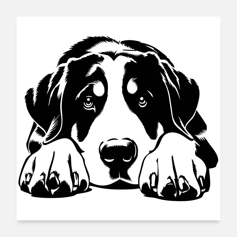 Greater Swiss Mountain Dog Poster 24" x 24" (60x60 cm)
