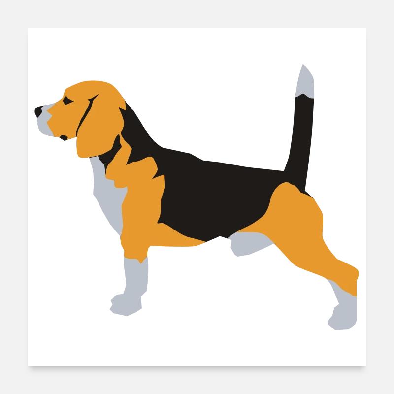 Beagle Poster 60x60 cm