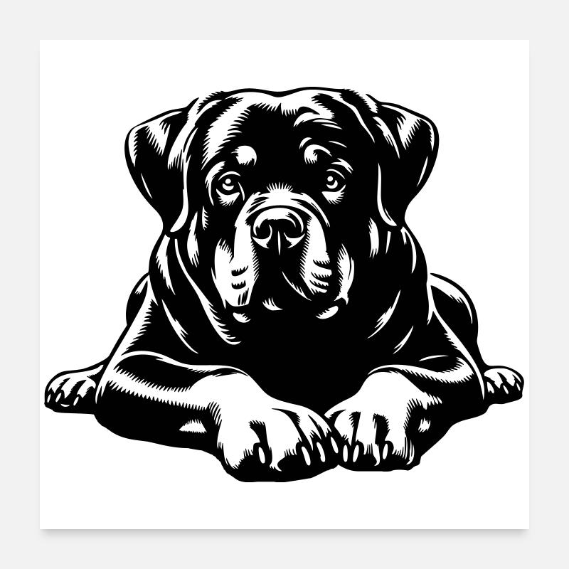 Rottweiler Poster 60x60 cm