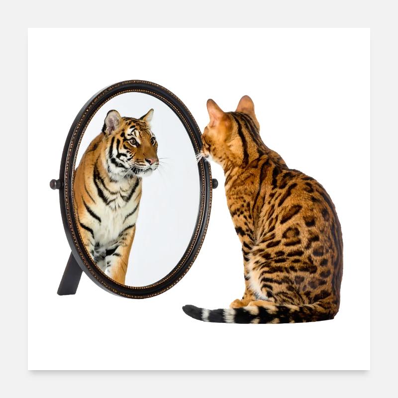 Croyez en vous Chat - Libérez le tigre qui sommeille en vous Poster 60 x 60 cm