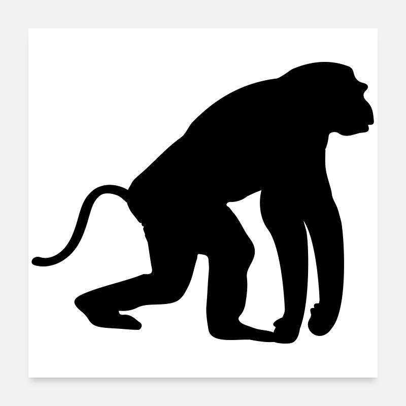 Monkey Poster 24" x 24" (60x60 cm)