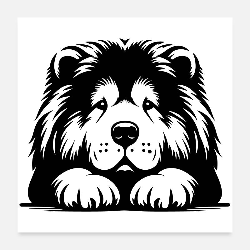 Chow Chow Head with Paws Poster 24" x 24" (60x60 cm)