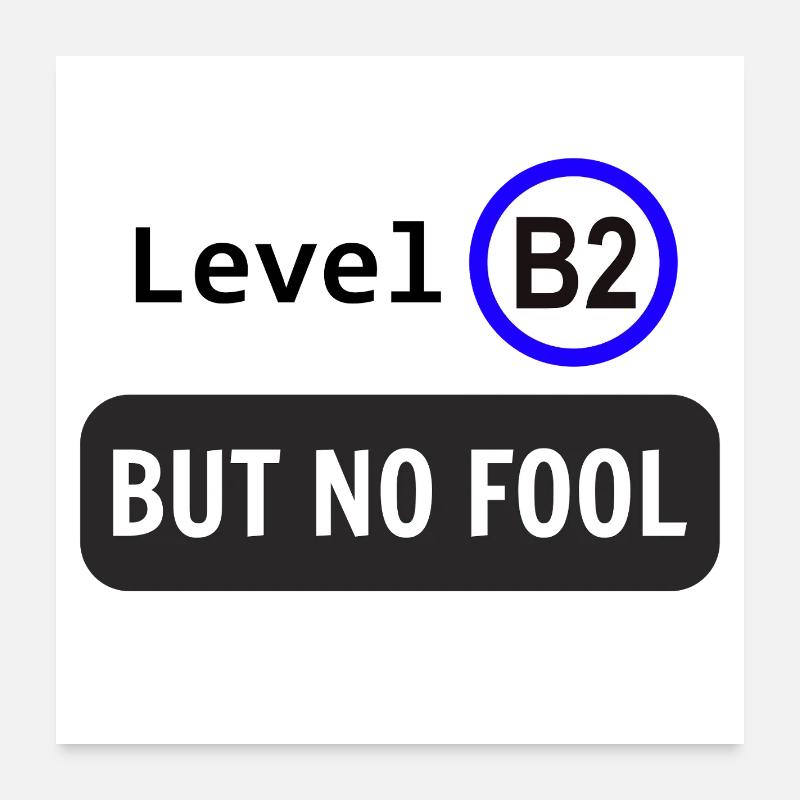 Level B2, but no fool Poster 60x60 cm