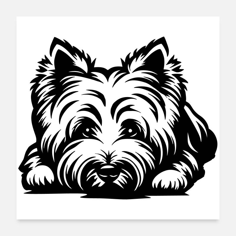 West Highland Terrier Head with Paws Poster 24" x 24" (60x60 cm)