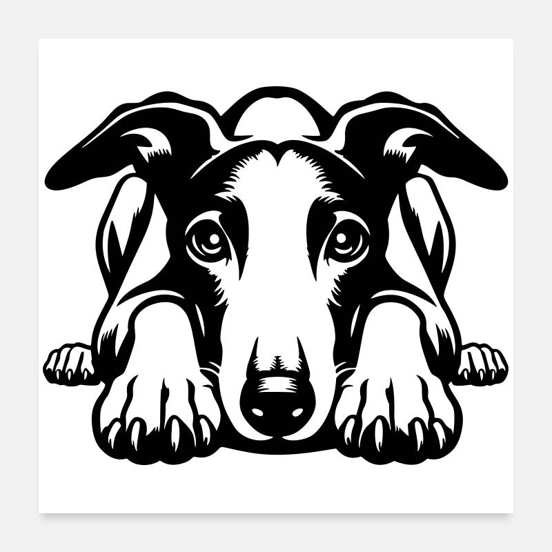 Whippet Head with Paws Poster 24" x 24" (60x60 cm)