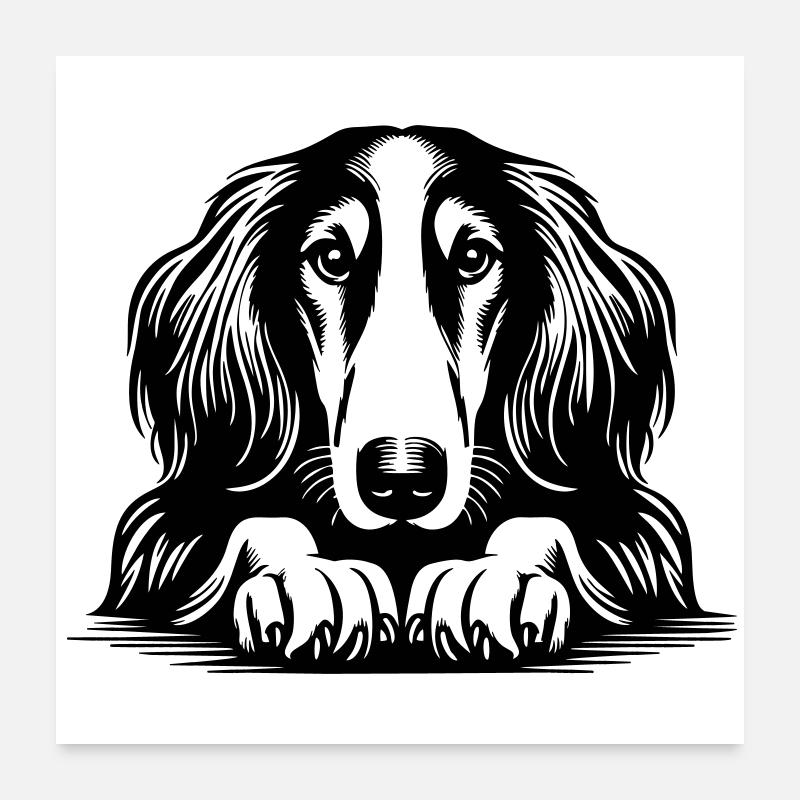 Saluki Head with Paws Poster 24" x 24" (60x60 cm)