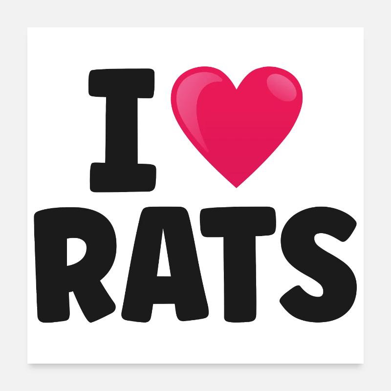 Ratte Ratten Poster 60x60 cm