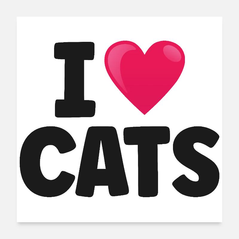 Katze - Poster 60x60 cm - Weiß