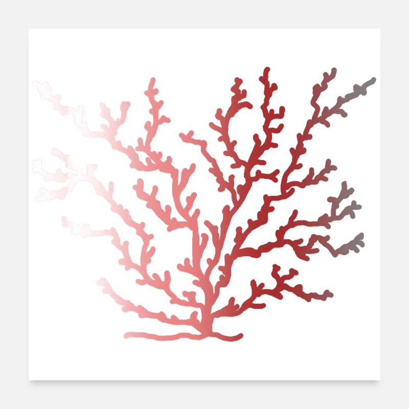 coralfantasy - Poster 60x60 cm - Weiß