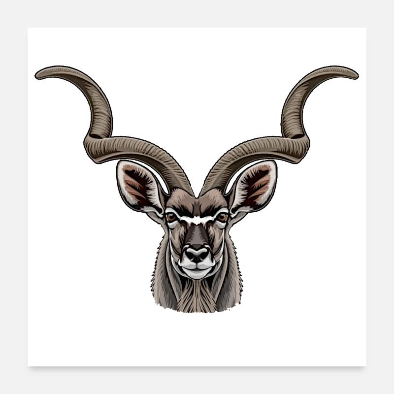 Antilope Kudou Poster 60 x 60 cm