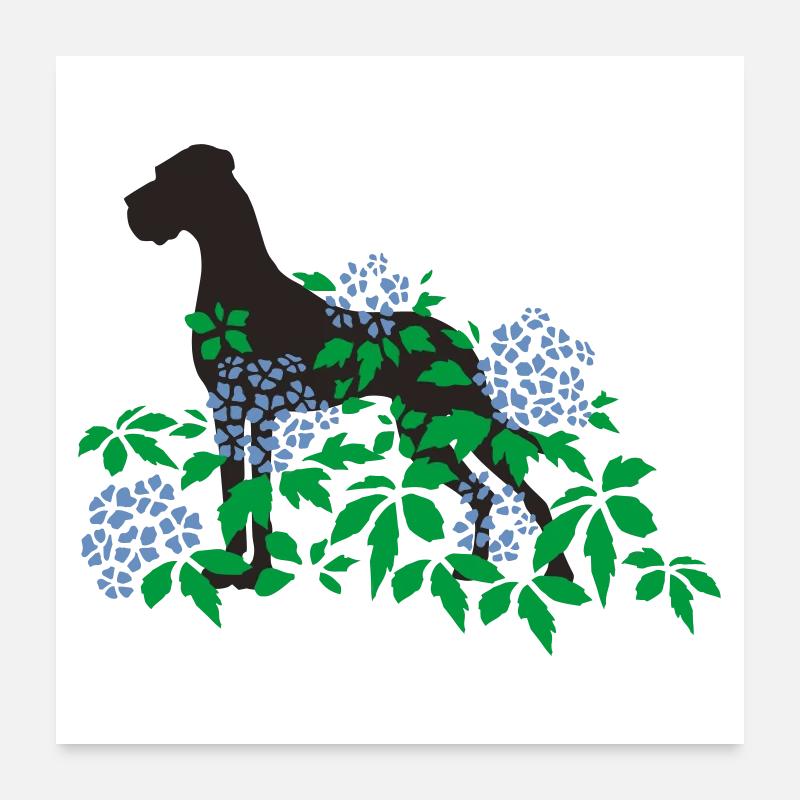 Great Dane and hydrangeas Poster 24" x 24" (60x60 cm)