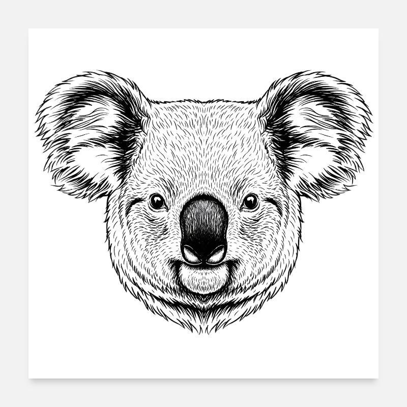 Koala Poster 24" x 24" (60x60 cm)