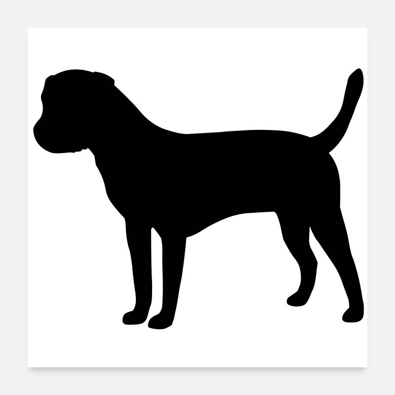 Border Terrier Poster 24" x 24" (60x60 cm)
