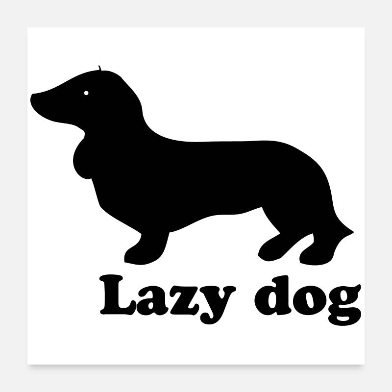 Lazy Dog Poster 60x60 cm