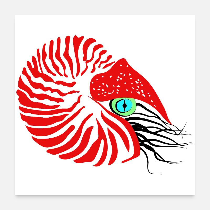 Pearl boat, ammonite, cephalopod, nautilus Poster 24" x 24" (60x60 cm)