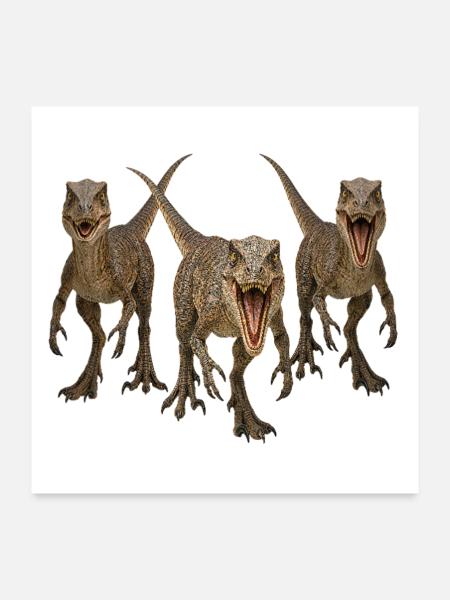 Velociraptor - Poster 60x60 cm - Weiß - Vorne