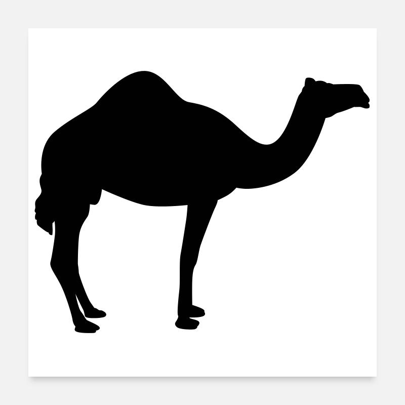 Kamel | Wüste | Dubai | Wüstenschiff Poster 60 x 60 cm