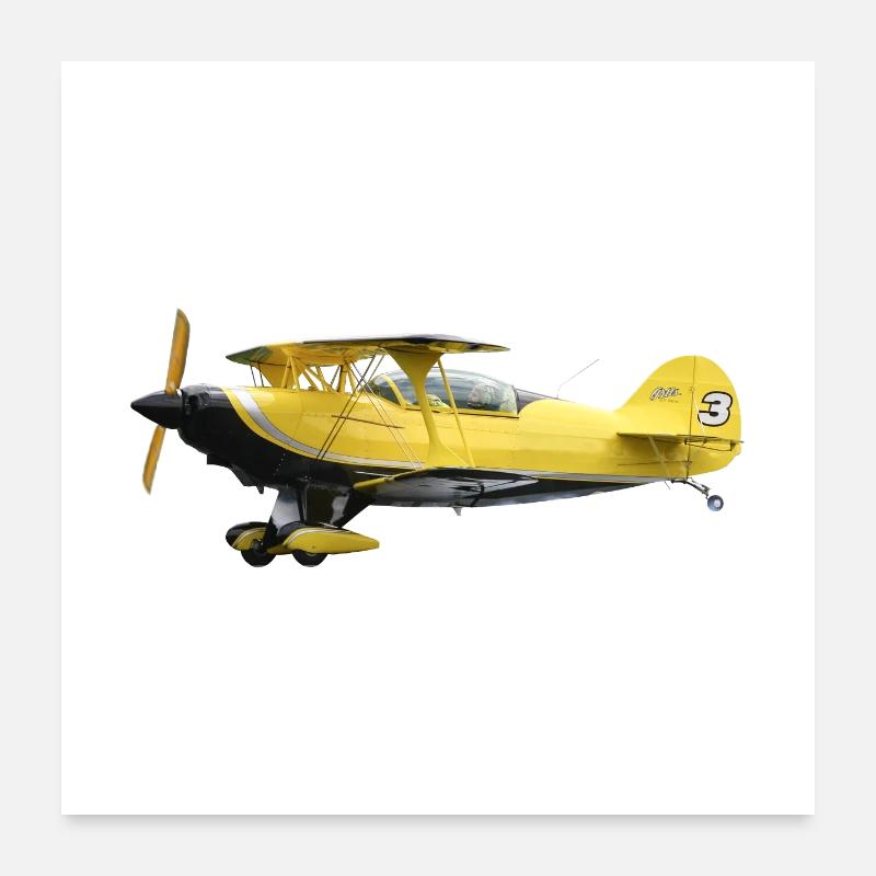 Pitts S2B Poster 60x60 cm